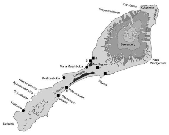 Jan Mayen map